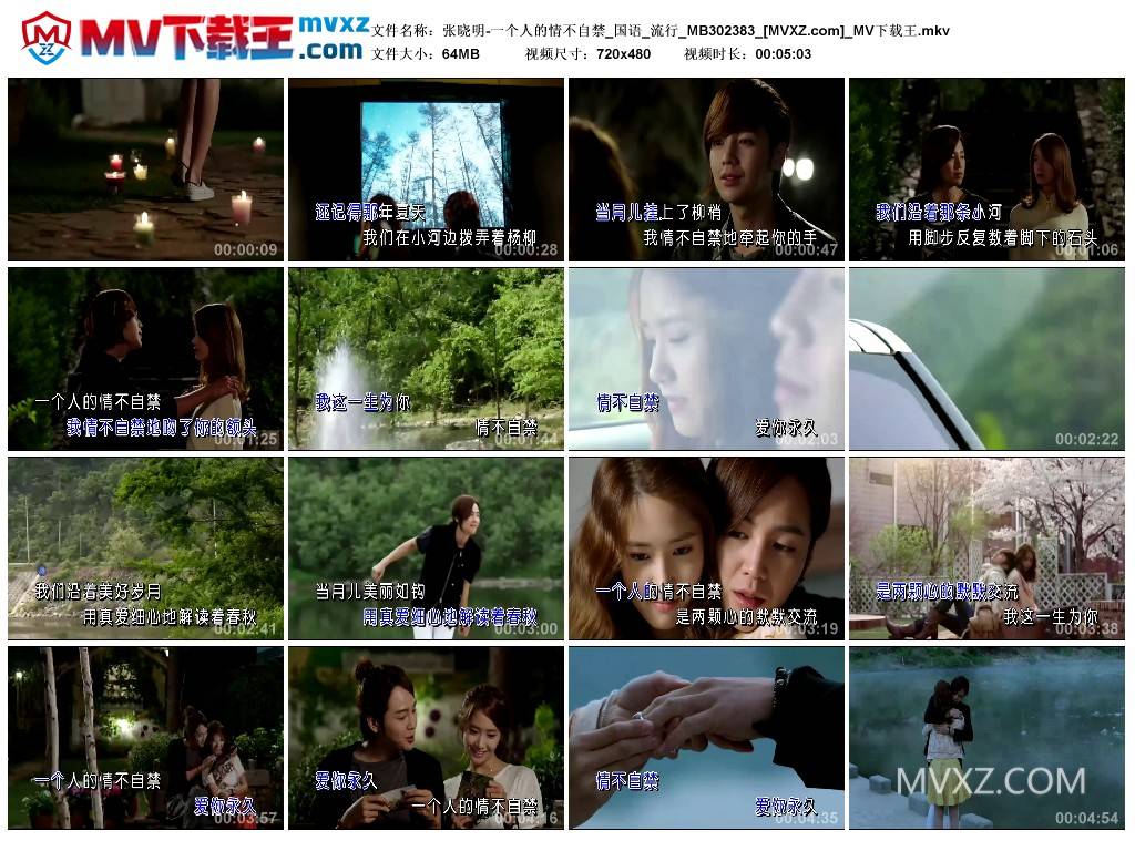 张晓明-一个人的情不自禁_国语_流行_MB302383